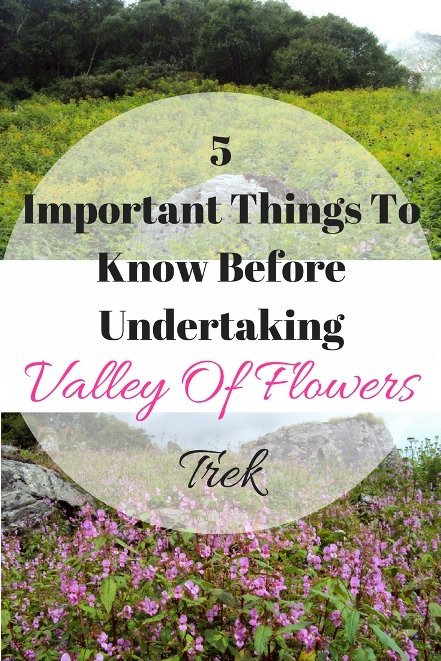 valley-of-flowers-trek-blog-cost-best-time